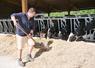 La stabulation dispose désormais de 135 places de logettes avec plusieurs cases pour les vaches taries (ici sur la photo). Le foin, récolté sur 25 ha, est distribué à l'ensemble des animaux.
