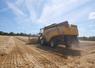 La CX8070 New Holland de la Cuma Loire Béconnais avance à 5 km/h dans la parcelle de triticale, mardi 15 juillet.