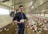 Valentin Breget produit près de 400 000 poulets à l'année pour l'organisation de production sarthoise Alimab. Ici, avec un lot de 18 jours. 