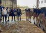 L'éleveur Michel Ménard, du Gaec de la Boissière (au micro) a expliqué ses choix en matière de génétique et Christophe Marais, technicien à Prim'holstein France, a présenté une sélection de quelques vaches.