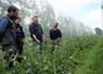 Bruno Jaloux, de l'Institut Agro d'Angers, en observation avec Laurina Chioso, conseillère arbo à la Chambre d'Agriculture, au Verger de la Hanère, une exploitation intégrée dans le projet Diver'ant. « On veut que les fourmis viennent sur la féverole, et non sur les arbres », explique-t-il.