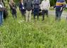 Gilles Paré, agriculteur à Beaufort-en-Anjou, a implanté une bande fleurie d'une quinzaine d'espèces en bordure d'une de ses parcelles.