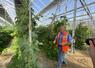 Hervé Lallaouret a fait construire une serre agrivoltaïque maraîchère de près de 4 ha. À droite, l'agriculteur charentais Johan Bernardin, qui l'a épaulé dans son projet.