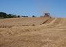 47 ha de blé ont été récoltés en deux jours de chantier à La Membrolle-sur-Longuenée.