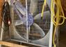 Outre les deux lignes de pipettes, ici dans son bâtiment de chapons de poulets, Romain Beaupère a installé deux turbines munies de couronne de brumisation lors des fortes chaleurs en fin de lot.