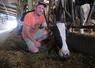 Jean-Louis Hamard, du Gaec de la Croix Brillet à Ombrée d'Anjou (Saint Michel et Chanveaux). En haut à droite, le séchage du foin en grange qui garantit une alimentation de qualité à ses vaches. 