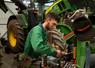 En MFR, la demande pour les formations agricoles en apprentissage se renforce.