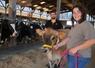 Dans l'élevage d'Alicia et Jean, les grandes prim'holstein ont fait leur place aux petites jersiaises. 