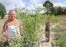 Frédéric Sérusier, du CNPH-Piverdière, devant une haie replantée en Végétal local. Des classes de CM1-CM2 de La Ménitré ont participé à la plantation. 