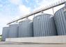 La CAPL a collecté entre 10 et 12 000 t de maïs grain sec en 2026, contre 70 000 t en 2024.