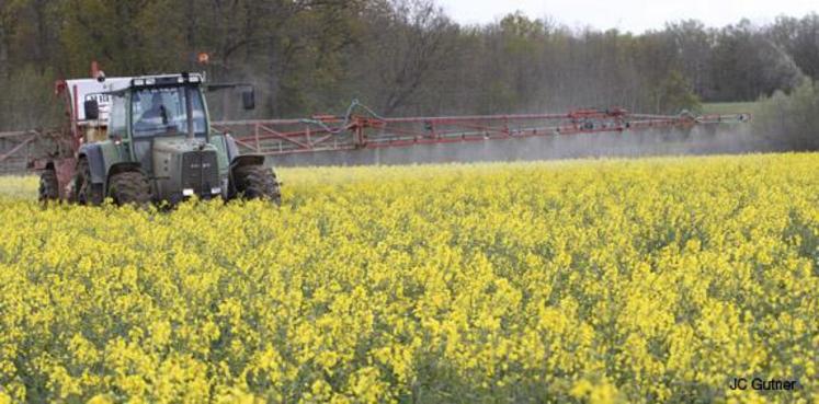 " Il faut aux producteurs des solutions avant toutes interdictions ! ", selon les 7 organisations agricoles.