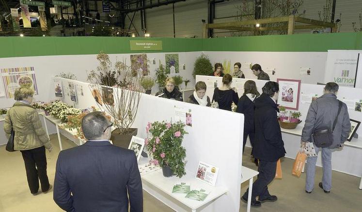 Le stand Innovert sera situé cette année dans le nouveau hall Ardesia.