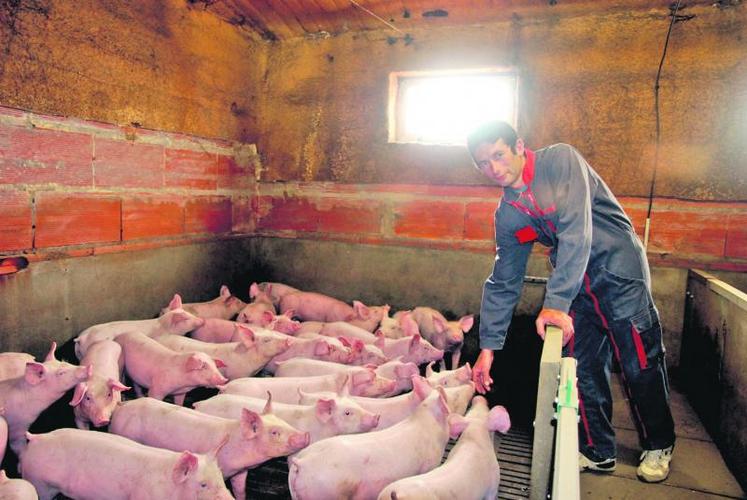 Pour Jean-Philippe Menant, le cours du porc doit prendre en compte la hausse des aliments.
