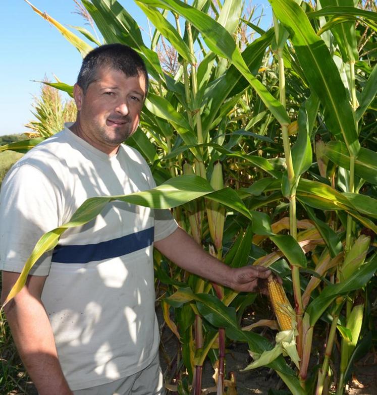 Didier Onillon, éleveur de vaches laitières : "Sur cette parcelle de 4 hectares, on s'attend à un rendement de 11 ou 12 tonnes de matière sèche par hectare".