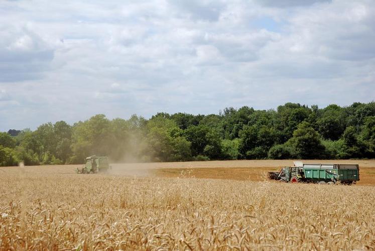 Les chargements de blés et d’orges à destination des pays tiers restaient soutenus à un mois de la fin de la campagne 2015/16.