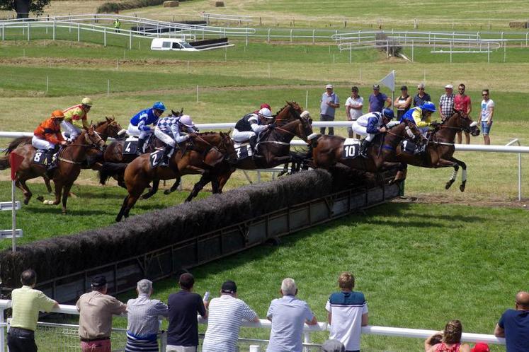 A Jallais, l’hippodrome de la Rochardière est mixte : il accueille des courses en galop et en trot. Lors des réunions, en galop, il peut y avoir 2 types de courses d’obstacle : la course de haies (cf photo) ou le steeple-chase.