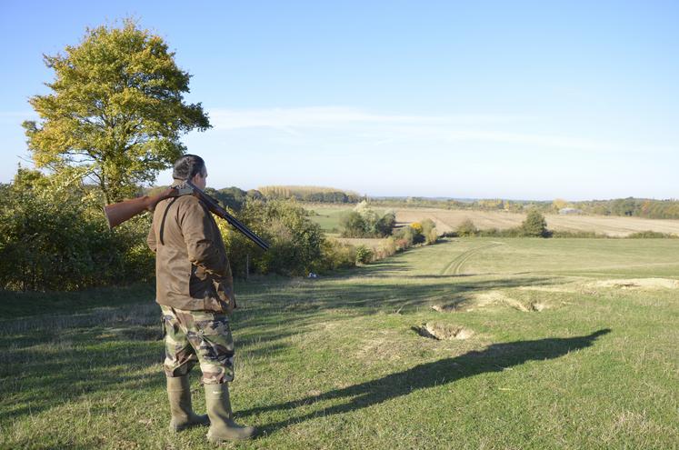 Chasse Cet hiver je passe mon permis de chasse Anjou agricole