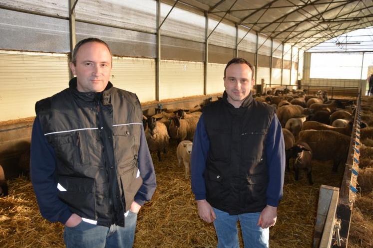 Eric et David Rouillère, associés du Gaec du Pontron au Louroux-Béconnais.