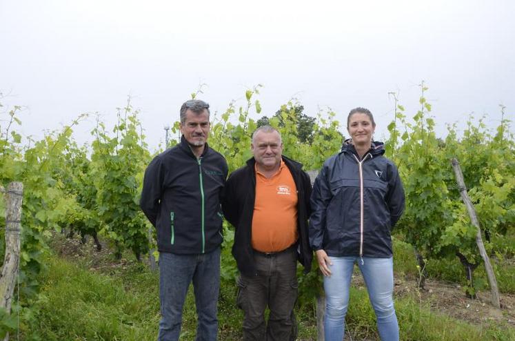 Laurent Plissoneau (à gauche), Bruno Barbot (au centre) et Diana Alberto sont venus constater les diffuseurs disposés sur la parcelle. Diana Alberto effectue des piégeages et relevés de dégâts afin de mesurer l’efficacité de l’Isonet LE.