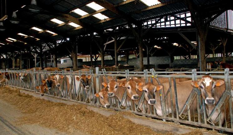 "La France a des atouts : l'autonomie alimentaire des exploitations laitières et un coût du foncier moins élevé que dans d'autres pays d'Europe" souligne Anne Richard.