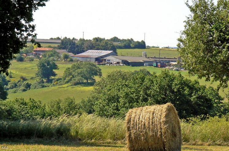 L’indice national des fermages est passé à 101,25 en 2011.