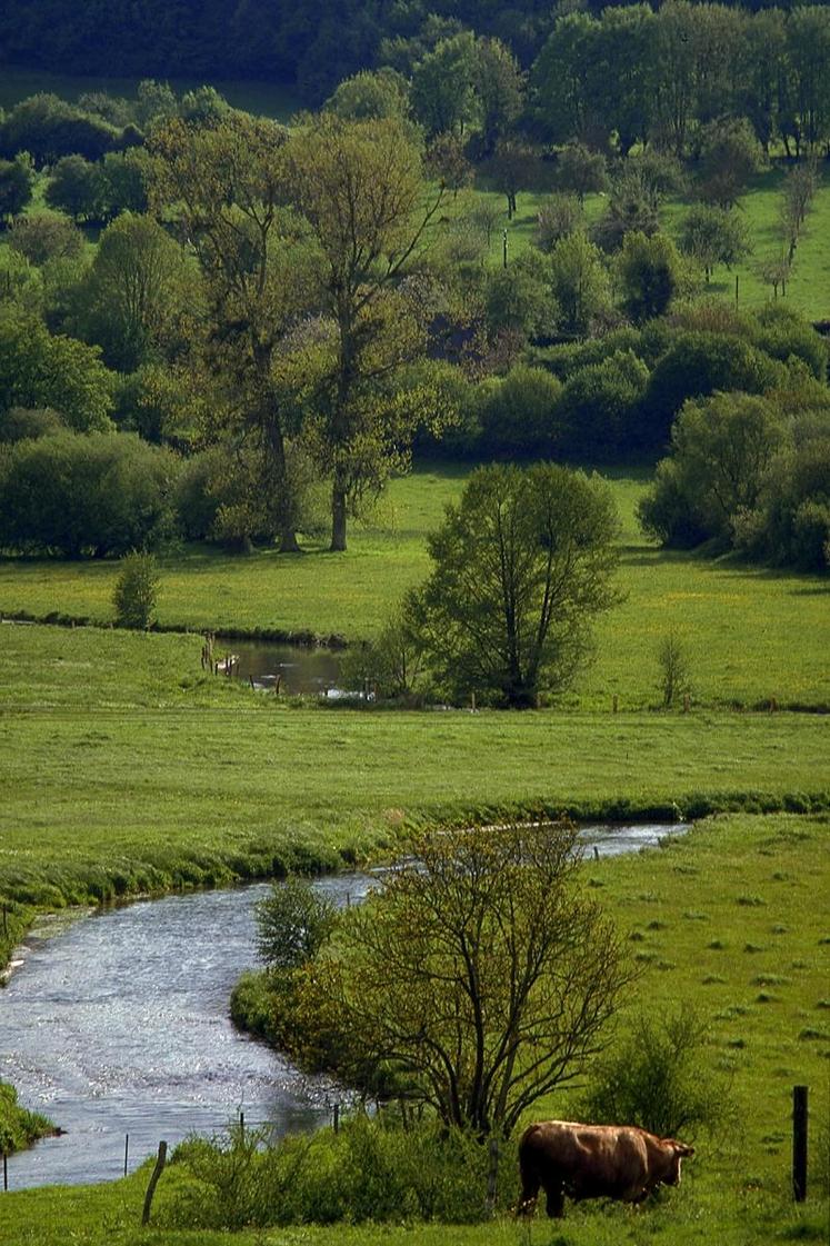 À condition d'y consacrer un peu de temps, le maintien du patrimoine bocager peut apporter un certain nombre d'avantages à l'agriculture.