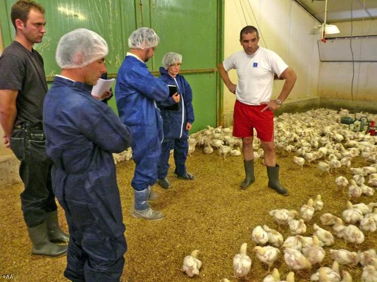 Contrôle à blanc dans un élevage des Gardes par la Direction départementale de la protection des populations (DDPP) le 17 octobre dernier.