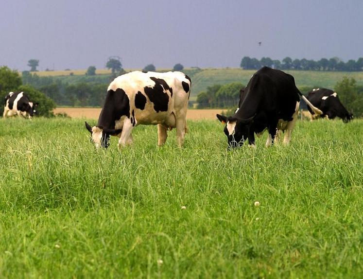 La nouvelle association s’appellera désormais Association Pays de la Loire Bretagne Lactalis et regroupera tous les éleveurs du Grand Ouest.