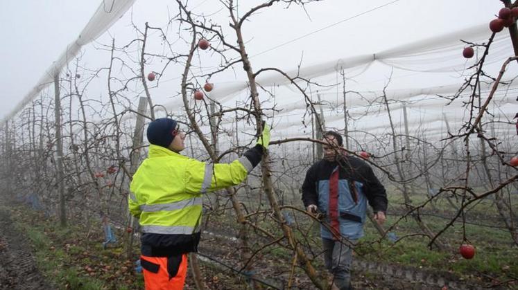 La structure a vécu un tournant important lorsqu'elle s'est ouverte à l'arboriculture et à la viticulture.