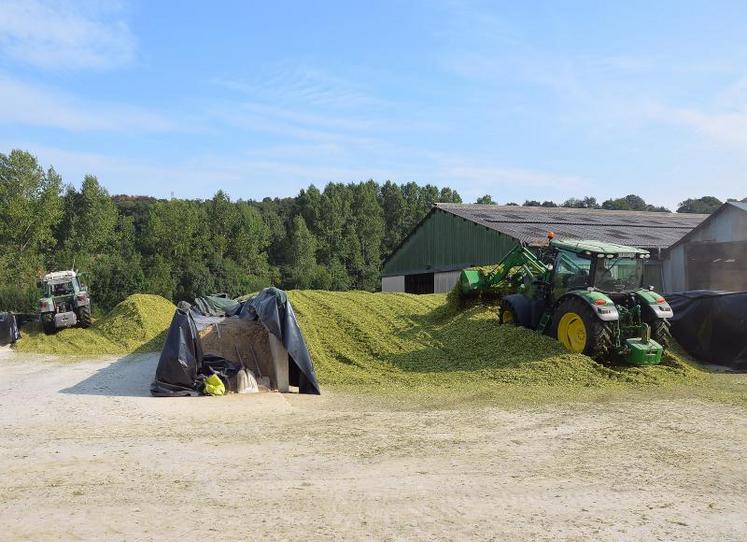 La confection du silo est opération stratégique. Avec  le développement important des cultures cette année, la problématique du tassement est d’autant plus compliquée à gérer.