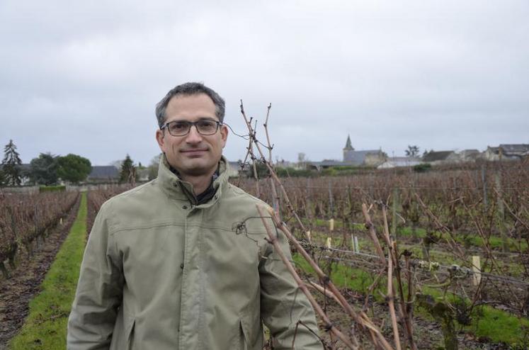 Guillaume Le Lay cultive 40 ha de vignes (Robert & Marcel), 70 ha de grandes cultures (Terrena) à Saint-Cyr-en-BOourg.