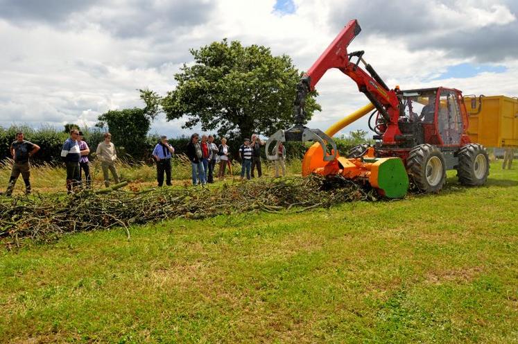 À l’aide d’un ramasseur broyeur de branche, les rameaux de bois sont transformés en BRF.