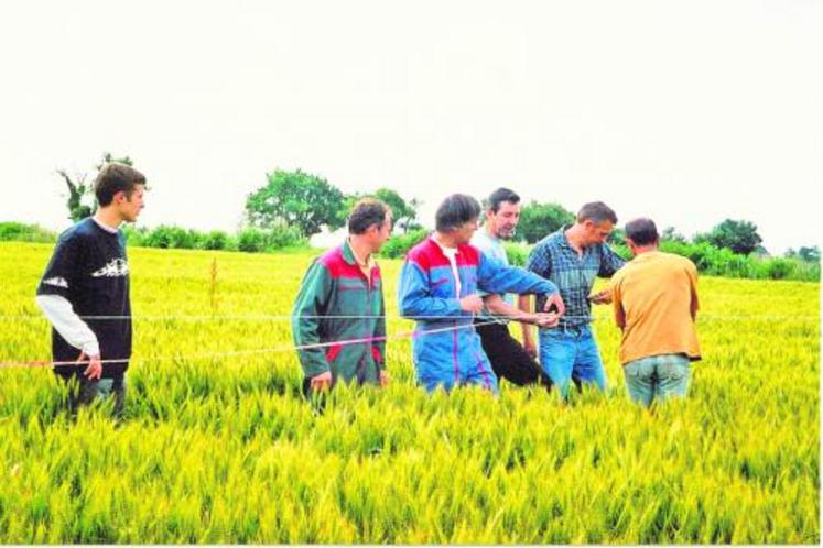 La FDSEA du Maine-et-Loire veut redorer l’image des agriculteurs.