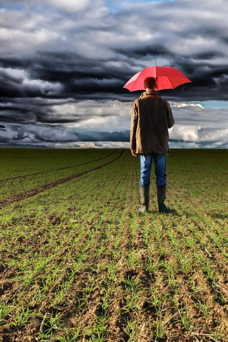 Agriculteur face aux aléas climatiques.