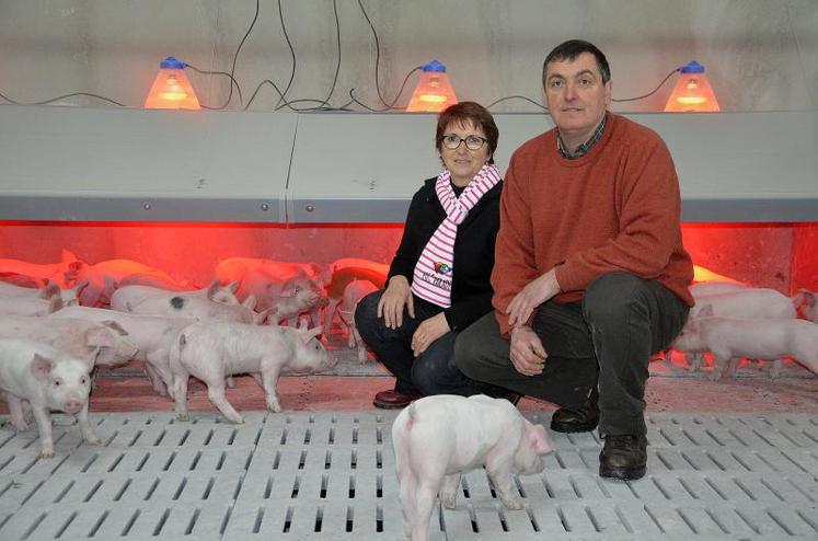 Dans le 
bâtiment 
BEBC du 
Gaec 
Lambert-
Foulier, les salles post-sevrage sont équipées de niches avec chauffage localisé.