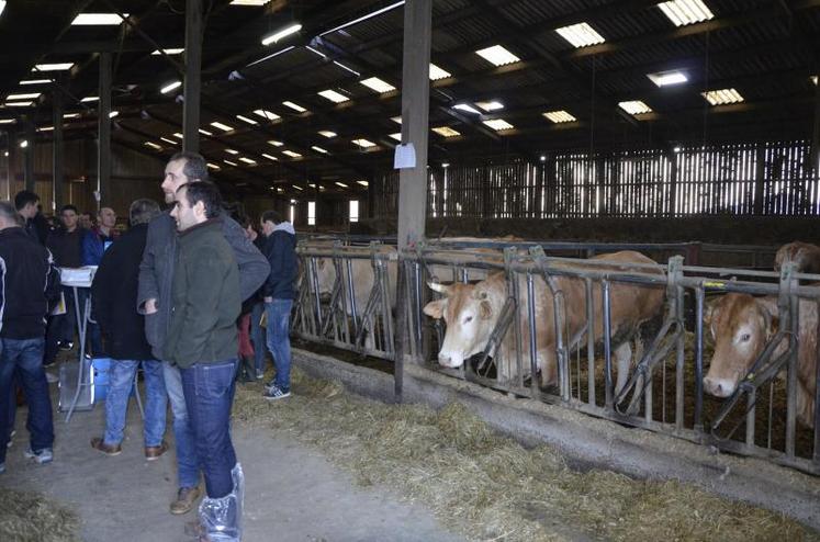Une soixantaine d'éleveurs ont participé à l'AG du syndicat blonde d'Aquitaine de Maine-et-Loire, mardi 19 février au Gaec Rothureau, à Beaupréau.