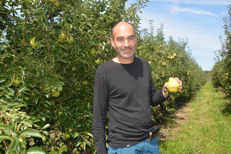 La température est descendue à - 3,2°C dans la nuit du 3 au 4 avril. Conséquence : moins de fruits sur les arbres et des anneaux sur les poires. C’est la première année que Jean-Laurent Laval subit de tels dégâts de gel sur son verger.