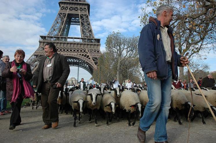 Près d’un millier d’éleveurs ovins ont afflué de toute la France dans la capitale.