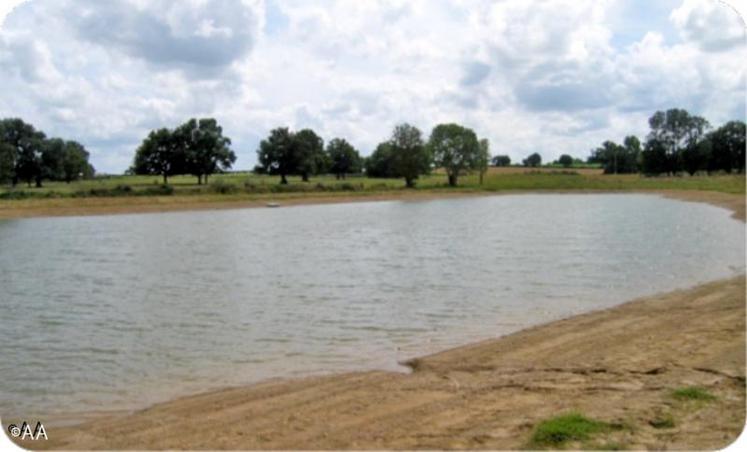 Des réunions d’information sur la constitution de réserves d’eau sont proposées aux agriculteurs. La première sera le mardi 22 novembre à Doué-la-Fontaine.