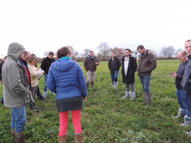 L’agriculture de conservation était le thème de l’après-midi du groupe environnement JA. Sur le site Arvalis de La Jaillière, le groupe s’est rendu sur des parcelles d’expérimentation en couverts permanents. Il s’agit de trèfle mis en place depuis 2014. La couverture du sol est l’un des trois piliers de l’agriculture de conservation, en complément de la rotation des cultures et de la réduction du travail du sol.