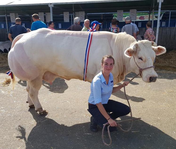 Mélissa Dulain au concours national de la race blanc bleu à Evron (53) en septembre 2018.