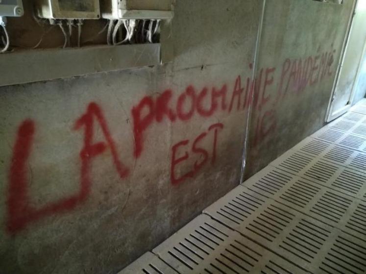 Plusieurs exploitations agricoles ont été vandalisées en Mayenne, Maine-et-Loire et Loire-Atlantique.