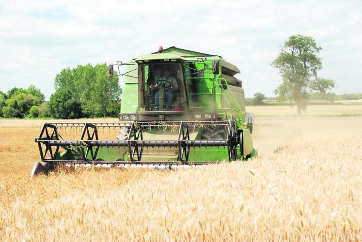 Bonnes conditions de semis, un froid hivernal qui a permis de maîtriser la pression des maladies et ravageurs, de larges périodes d’accès aux parcelles dans de bonnes conditions pour la fertilisation et la couverture phytosanitaire, la moisson s’annonce bien.