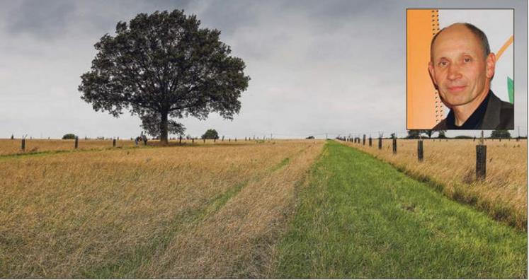 Sur une parcelle de 10 hectares à Jallais, Jean-Robert Gachet a planté 311 arbres.