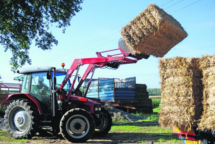 Selon le BCPF, " le marché de la paille ne doit pas dépendre seulement de la loi de l’offre et demande ".