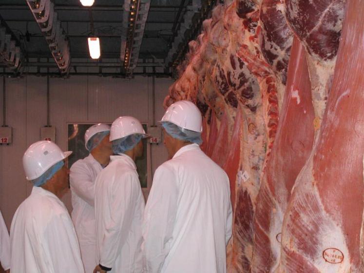 Les abattages de bovins, porcs et ovins ont globalement progressé sur le mois d'août 2015.