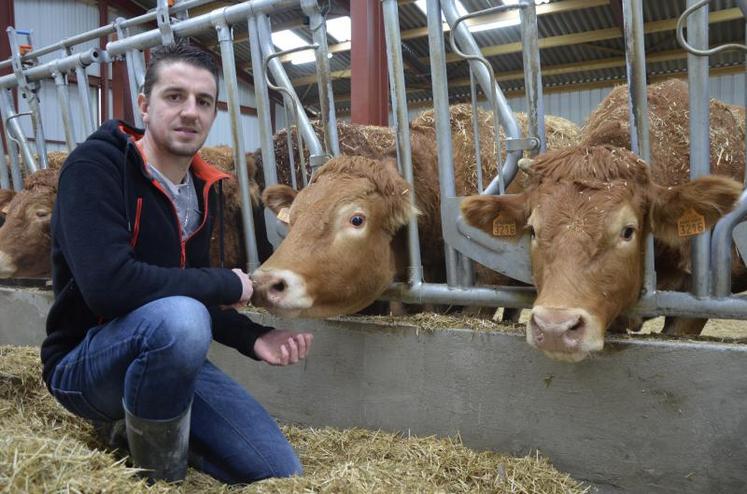 Florian Landreau est agriculteur au Longeron en Maine-et-Loire, en productions vaches allaitantes et volailles de chair.