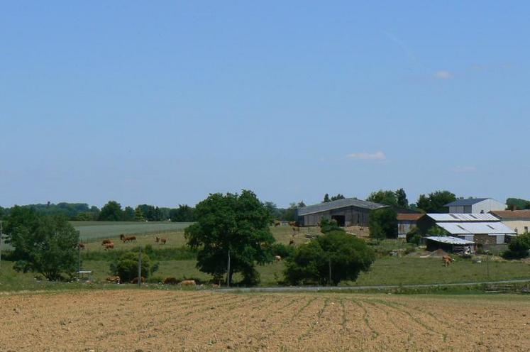 "Une réflexion doit avoir lieu sur la qualité des terres qui changent de destination, car un hectare ne vaut pas la même chose partout" souligne Emmanuel Hyest exploitant agricole dans l’Eure.