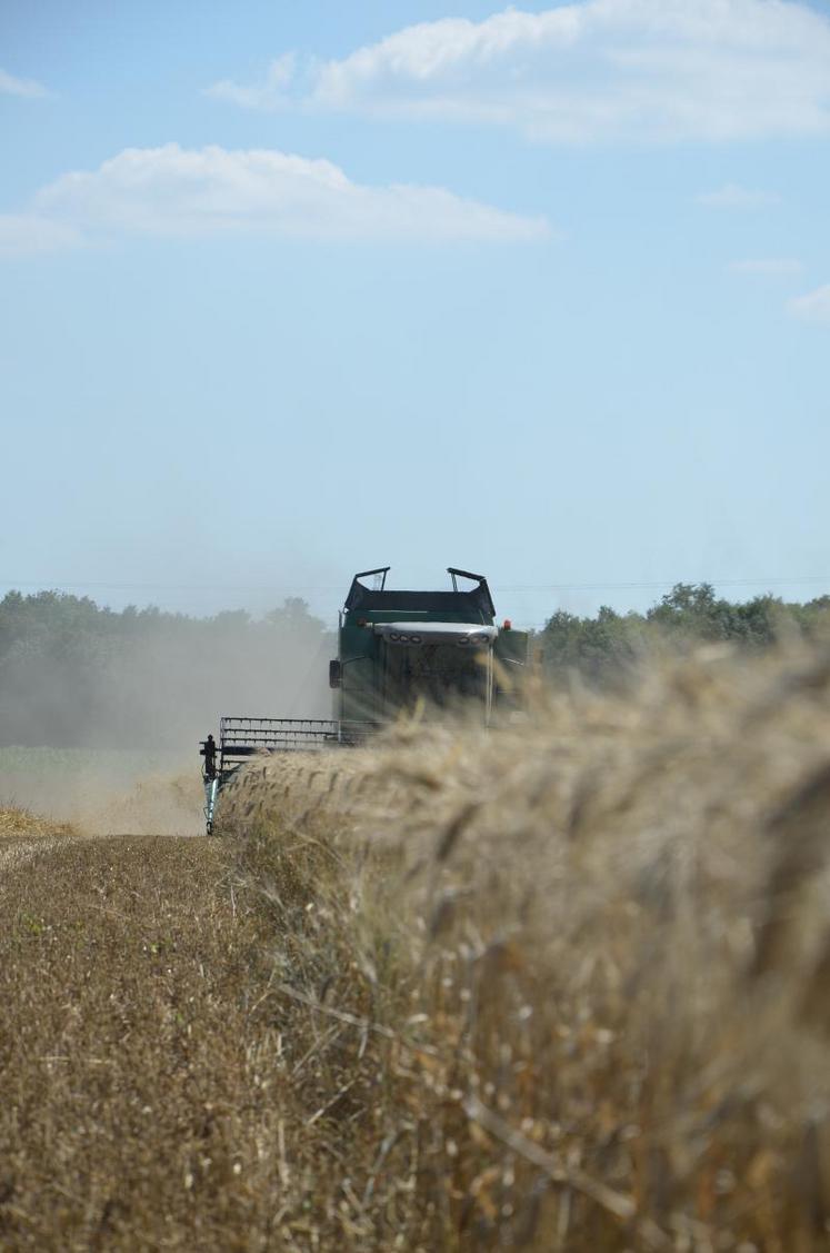 Entre le gel sur la vigne et les inondations du printemps,
300 des 1 300 contrats de la région Loire-Bretagne ont
déjà fait une déclaration de sinistres.