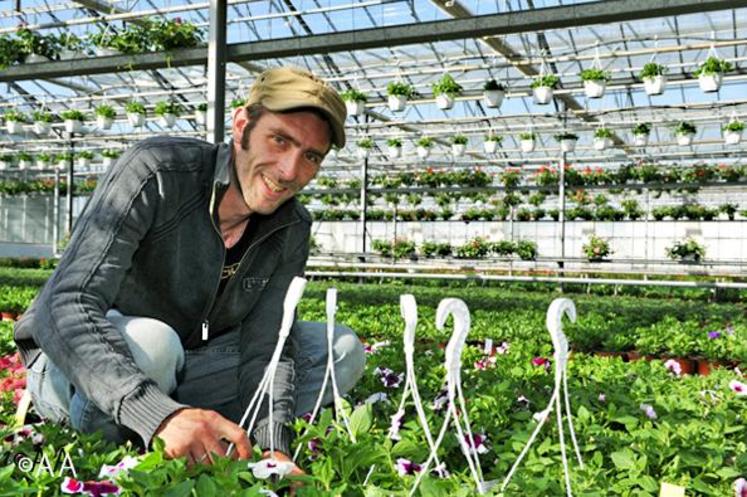 Matthieu, salarié horticole du Geiq.